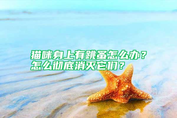 貓咪身上有跳蚤怎么辦？怎么徹底消滅它們？