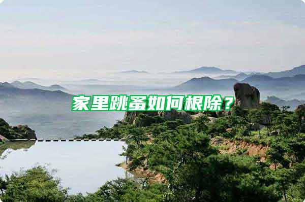 家里跳蚤如何根除？