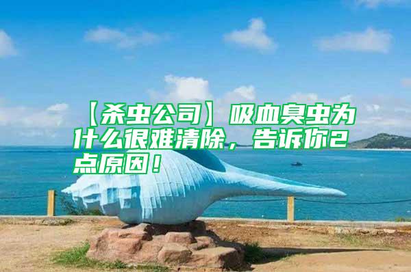 【殺蟲(chóng)公司】吸血臭蟲(chóng)為什么很難清除，告訴你2點(diǎn)原因！
