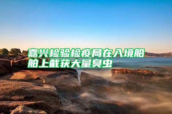 嘉興檢驗(yàn)檢疫局在入境船舶上截獲大量臭蟲