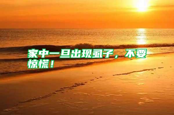 家中一旦出現(xiàn)虱子，不要驚慌！