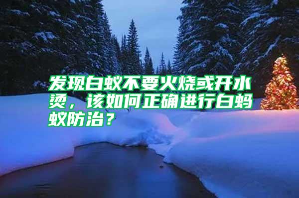 發(fā)現(xiàn)白蟻不要火燒或開(kāi)水燙，該如何正確進(jìn)行白螞蟻防治？