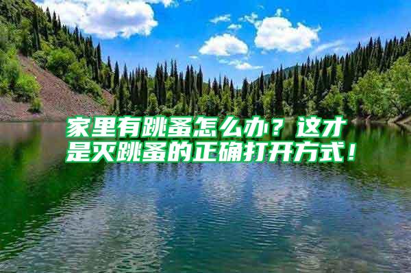 家里有跳蚤怎么辦？這才是滅跳蚤的正確打開(kāi)方式！