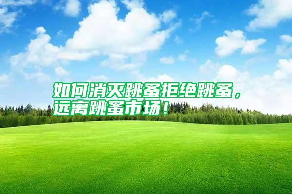 如何消滅跳蚤拒絕跳蚤，遠(yuǎn)離跳蚤市場！