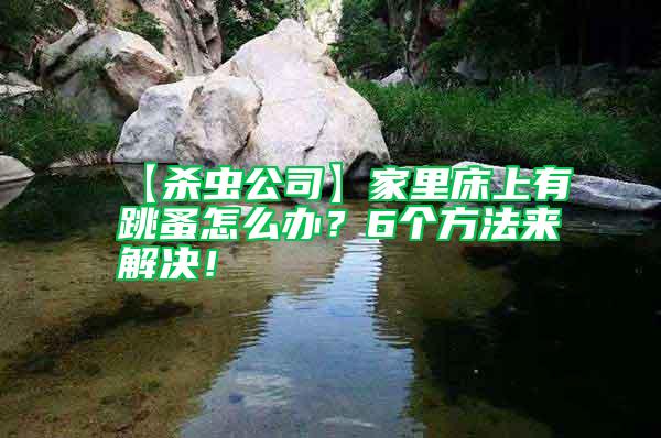 【殺蟲公司】家里床上有跳蚤怎么辦？6個(gè)方法來解決！