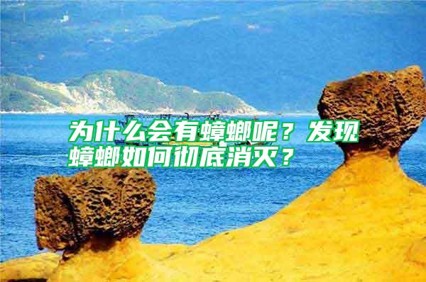 為什么會有蟑螂呢？發(fā)現(xiàn)蟑螂如何徹底消滅？