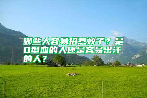 哪些人容易招惹蚊子？是O型血的人還是容易出汗的人？