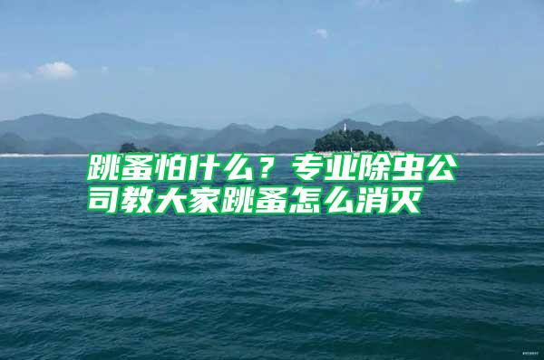 跳蚤怕什么？專業(yè)除蟲公司教大家跳蚤怎么消滅