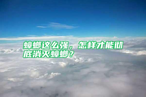 蟑螂這么強(qiáng)，怎樣才能徹底消滅蟑螂？
