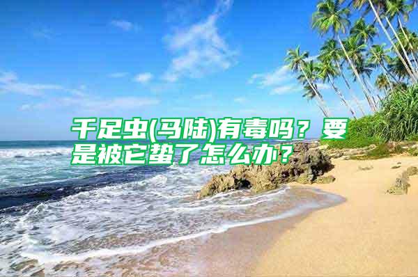 千足蟲(馬陸)有毒嗎？要是被它蟄了怎么辦？