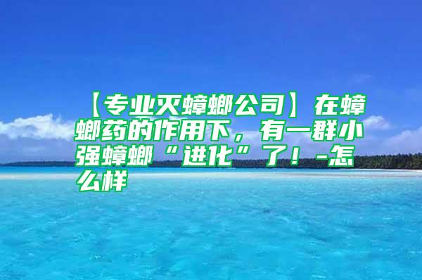 【專業(yè)滅蟑螂公司】在蟑螂藥的作用下，有一群小強蟑螂“進化”了！-怎么樣