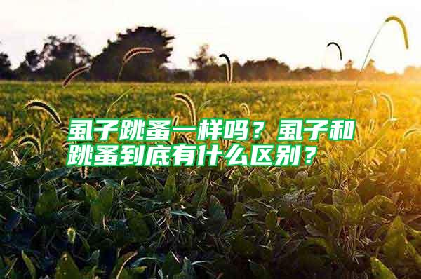 虱子跳蚤一樣嗎？虱子和跳蚤到底有什么區(qū)別？