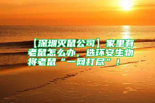【深圳滅鼠公司】家里有老鼠怎么辦，選環(huán)安生物將老鼠“一網(wǎng)打盡”！