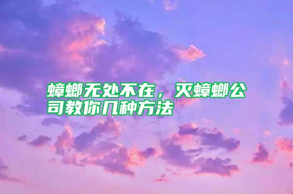 蟑螂無處不在，滅蟑螂公司教你幾種方法