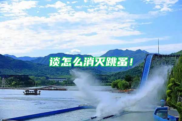 談怎么消滅跳蚤！