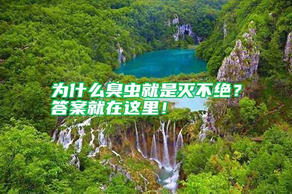 為什么臭蟲就是滅不絕？答案就在這里！