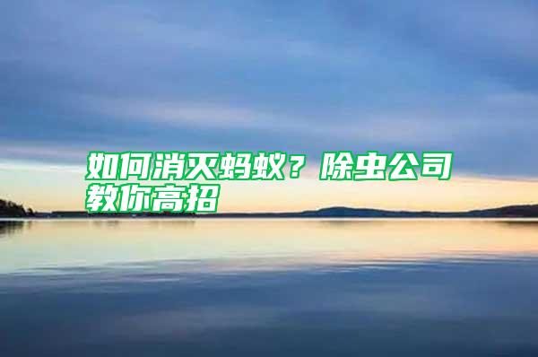 如何消滅螞蟻？除蟲公司教你高招