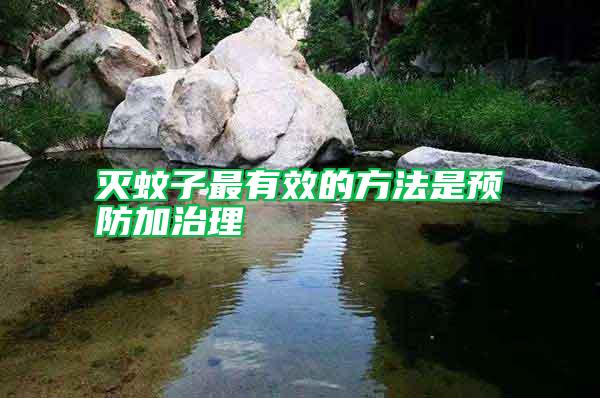 滅蚊子最有效的方法是預(yù)防加治理