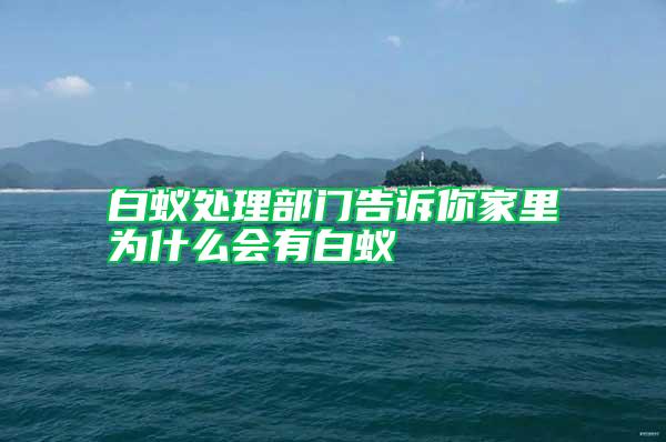 白蟻處理部門(mén)告訴你家里為什么會(huì)有白蟻