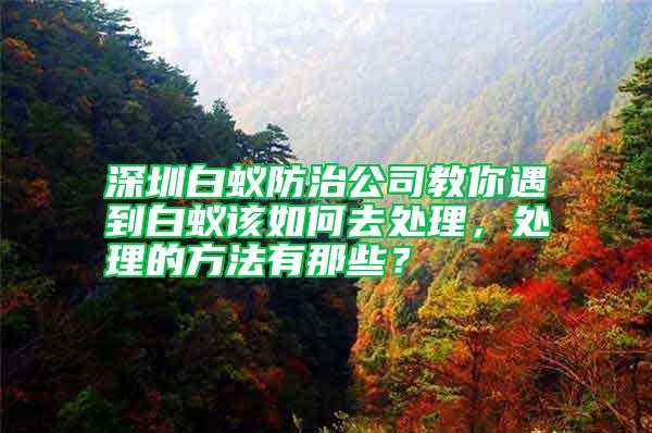 深圳白蟻防治公司教你遇到白蟻該如何去處理，處理的方法有那些？
