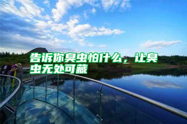 告訴你臭蟲怕什么，讓臭蟲無處可藏