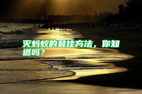 滅螞蟻的最佳方法，你知道嗎？