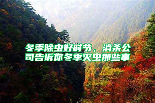 冬季除蟲好時(shí)節(jié)，消殺公司告訴你冬季滅蟲那些事