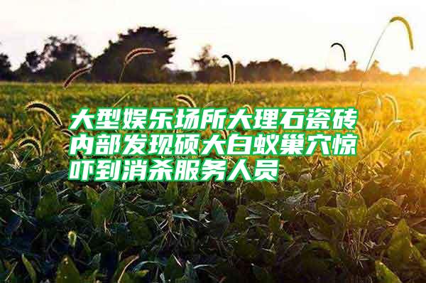大型娛樂場所大理石瓷磚內部發(fā)現(xiàn)碩大白蟻巢穴驚嚇到消殺服務人員