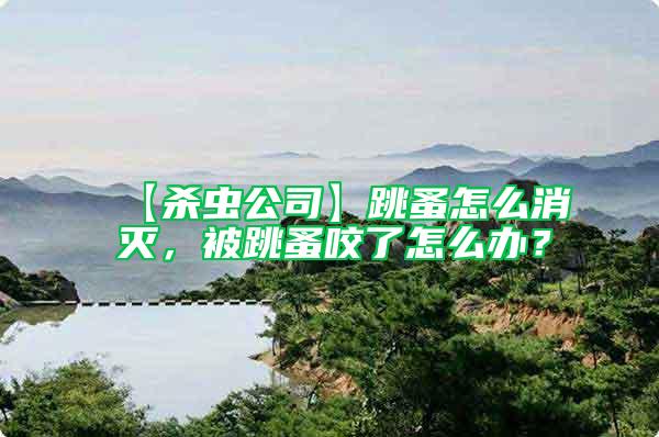 【殺蟲(chóng)公司】跳蚤怎么消滅，被跳蚤咬了怎么辦？