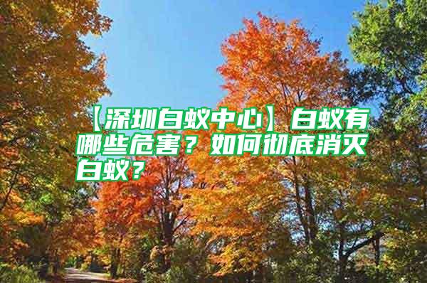 【深圳白蟻中心】白蟻有哪些危害？如何徹底消滅白蟻？