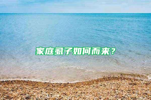 家庭虱子如何而來？
