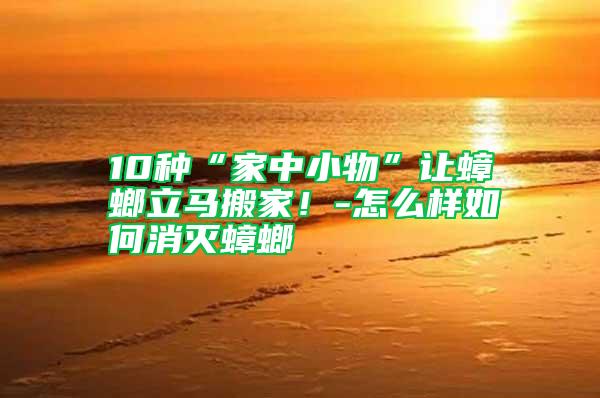 10種“家中小物”讓蟑螂立馬搬家！-怎么樣如何消滅蟑螂