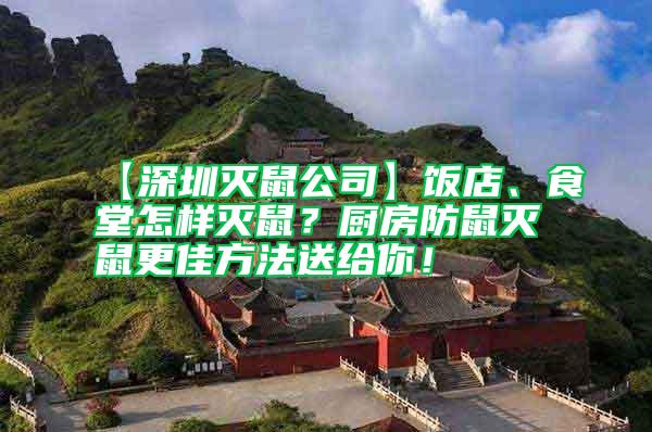 【深圳滅鼠公司】飯店、食堂怎樣滅鼠？廚房防鼠滅鼠更佳方法送給你！