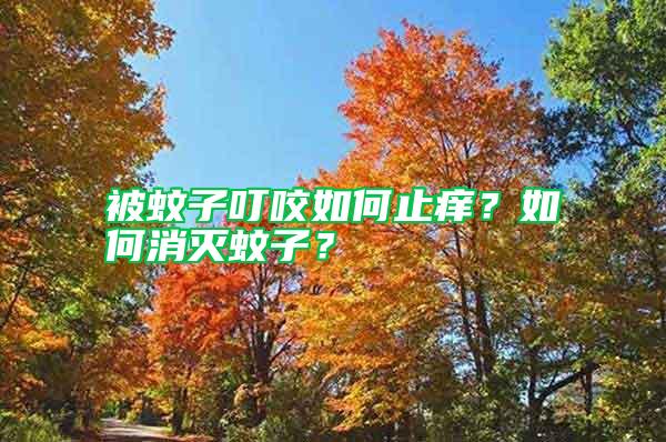 被蚊子叮咬如何止癢？如何消滅蚊子？