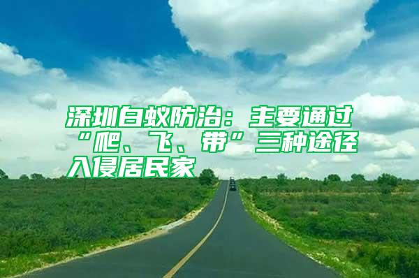 深圳白蟻防治：主要通過“爬、飛、帶”三種途徑入侵居民家