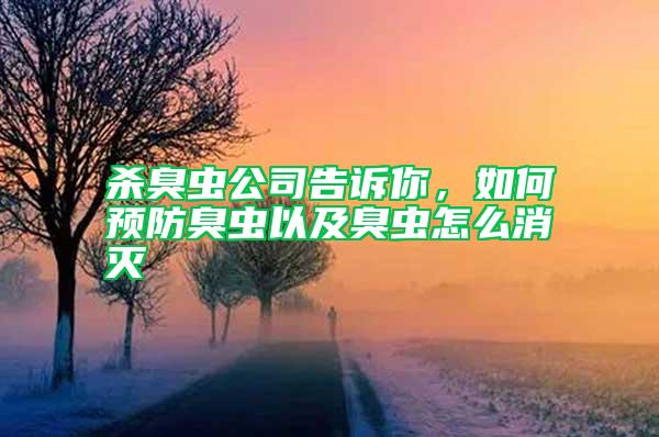 殺臭蟲公司告訴你，如何預(yù)防臭蟲以及臭蟲怎么消滅