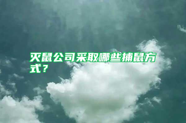 滅鼠公司采取哪些捕鼠方式？