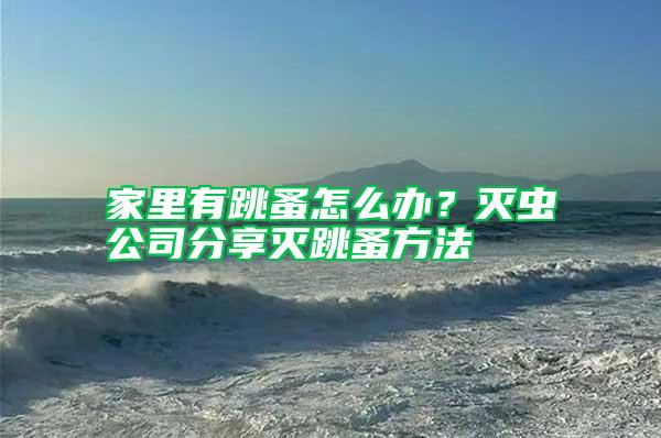 家里有跳蚤怎么辦？滅蟲公司分享滅跳蚤方法