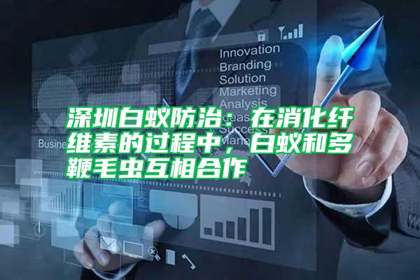 深圳白蟻防治：在消化纖維素的過(guò)程中，白蟻和多鞭毛蟲(chóng)互相合作