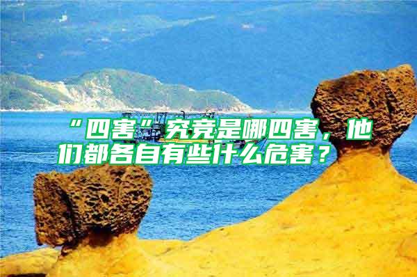 “四害”究競是哪四害，他們都各自有些什么危害？