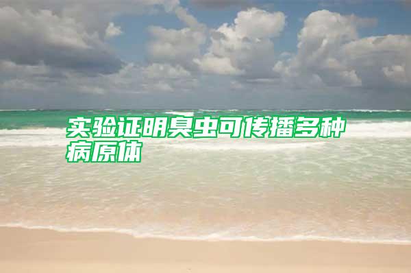 實(shí)驗(yàn)證明臭蟲可傳播多種病原體