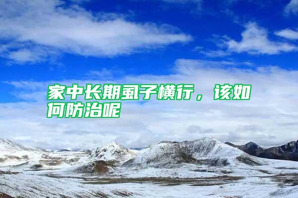 家中長期虱子橫行，該如何防治呢