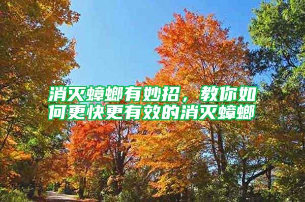 消滅蟑螂有妙招，教你如何更快更有效的消滅蟑螂