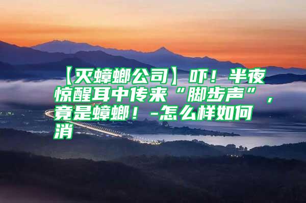 【滅蟑螂公司】嚇！半夜驚醒耳中傳來“腳步聲”，竟是蟑螂！-怎么樣如何消