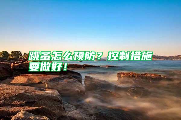 跳蚤怎么預(yù)防？控制措施要做好！
