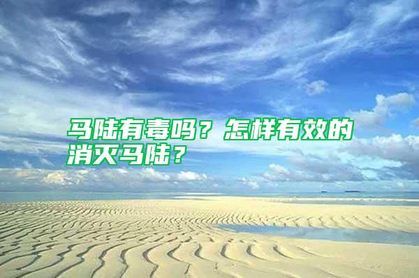 馬陸有毒嗎？怎樣有效的消滅馬陸？