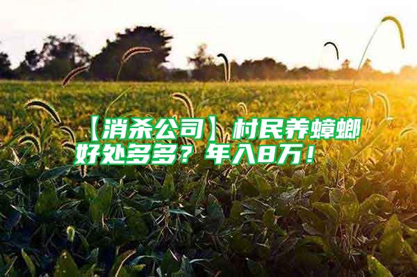 【消殺公司】村民養(yǎng)蟑螂好處多多？年入8萬！