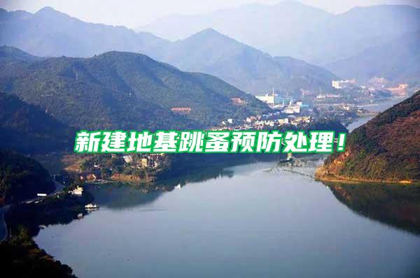 新建地基跳蚤預(yù)防處理！
