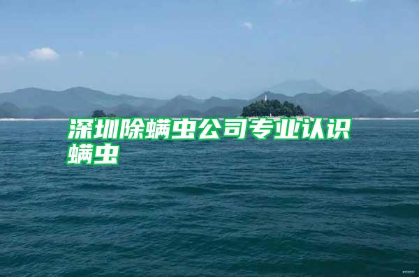 深圳除螨蟲(chóng)公司專業(yè)認(rèn)識(shí)螨蟲(chóng)