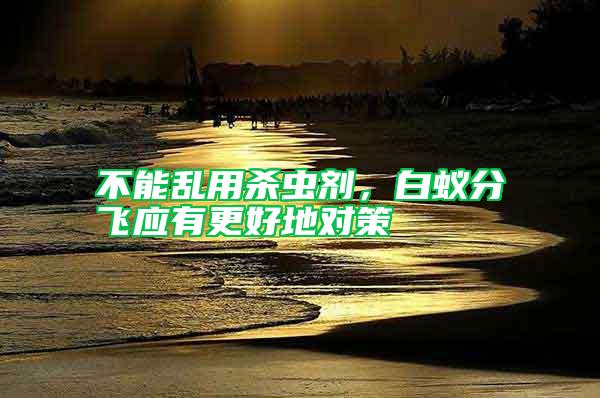 不能亂用殺蟲劑，白蟻分飛應(yīng)有更好地對策